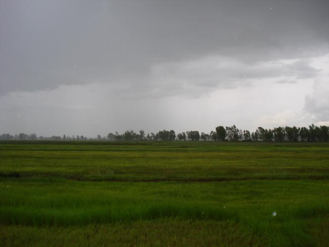 DSC00484_resize.JPG